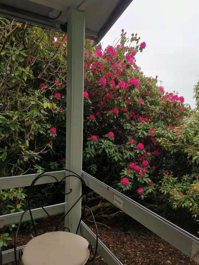 הוילה הוקסהד Treeside Woodhouse מראה חיצוני תמונה